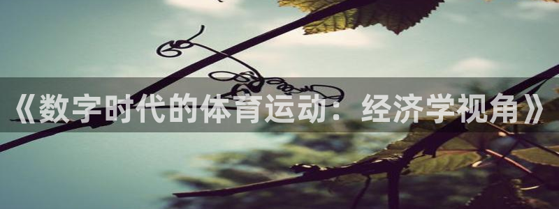 k1体育网址：《数字时代的体育运动：经济学视角》