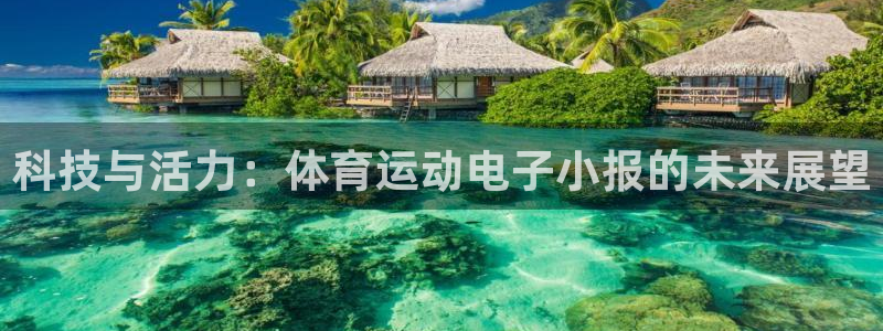 k1体育十年品牌官网：科技与活力：体育运动电子小报的未来展望