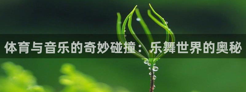 k1体育网址是多少：体育与音乐的奇妙碰撞：乐舞世界的奥秘