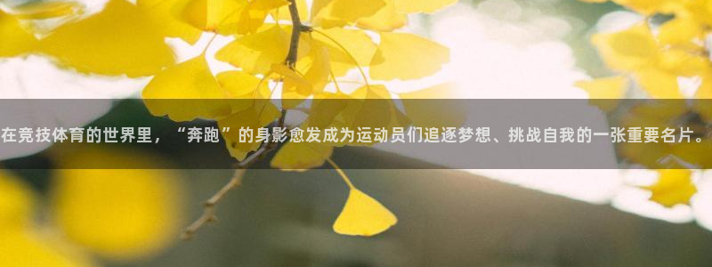 k1体育 十年品牌：在竞技体育的世界里，“奔跑”的身影愈发成为运动员们追逐梦想、挑战自我的一张重要名片。