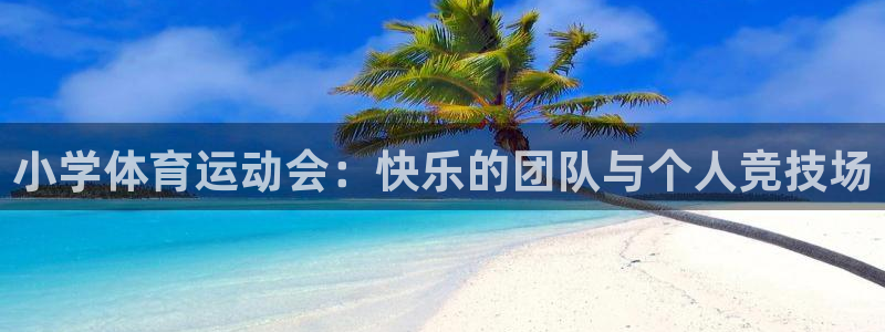 k1体育十年登录入口：小学体育运动会：快乐的团队与个人竞技场