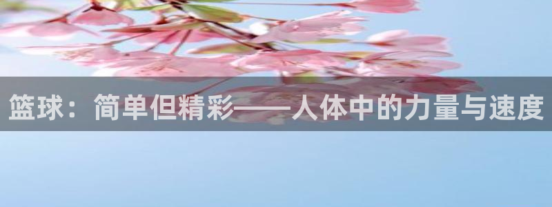 k1体育平台3915：篮球：简单但精彩——人体中的力量与速度