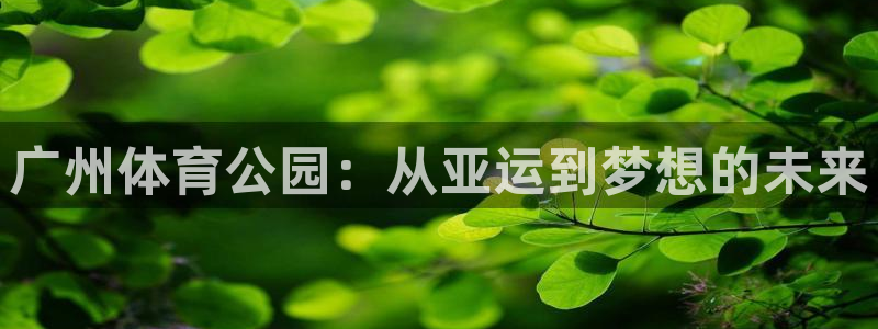k1体育网址是多少：广州体育公园：从亚运到梦想的未来