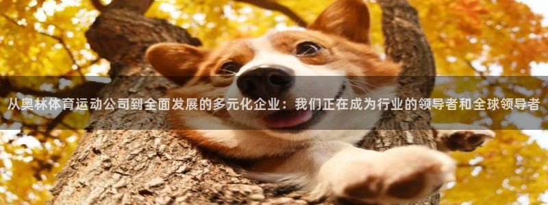 帮k1体育在线登录：从奥林体育运动公司到全面发展的多元化企业：我们正在成为行业的领导者和全球领导者