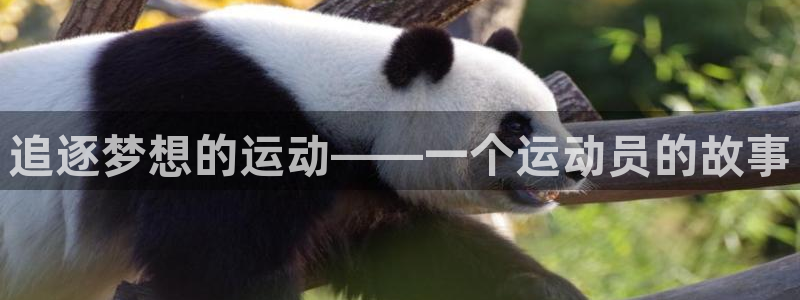 k1体育app下载链接：追逐梦想的运动——一个运动员的故事