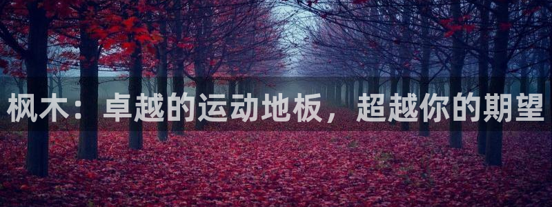 k1体育十年平台：枫木：卓越的运动地板，超越你的期望