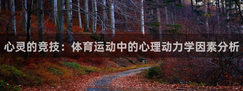 k1体育平台3915：心灵的竞技：体育运动中的心理动力学因素分析